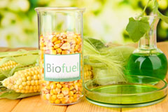 Sneyd Green biofuel availability